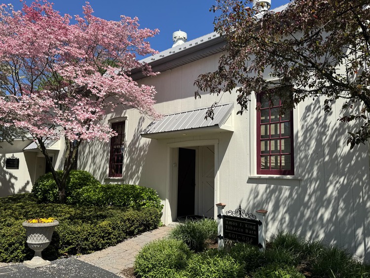 White building surrounded by trees