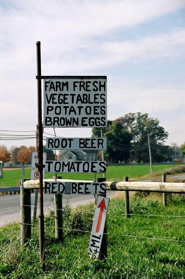 Amish sign in countryside