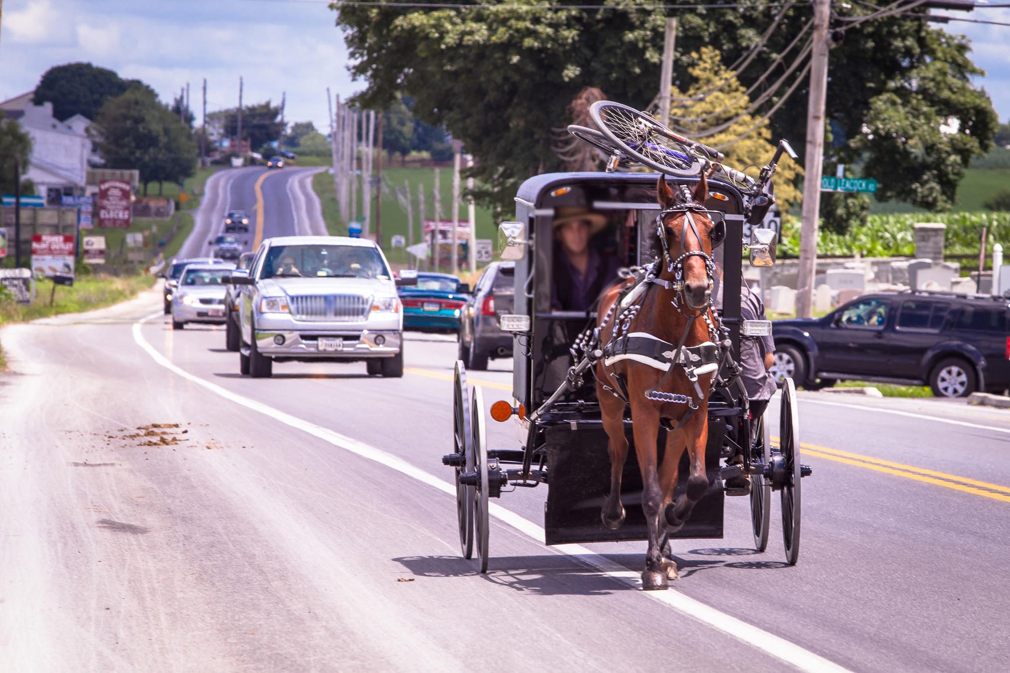 Horse and buggy on road with cars